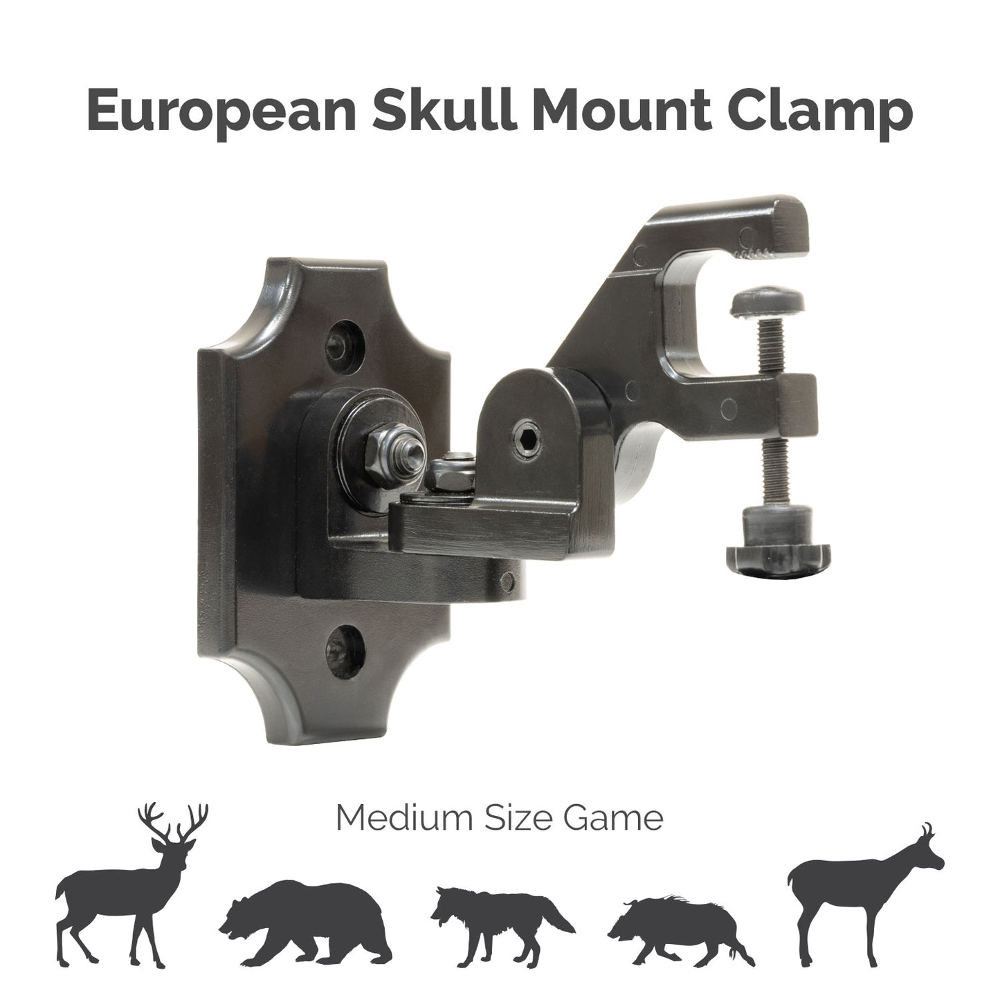 European Skull Mount Clamp - easy skull mount