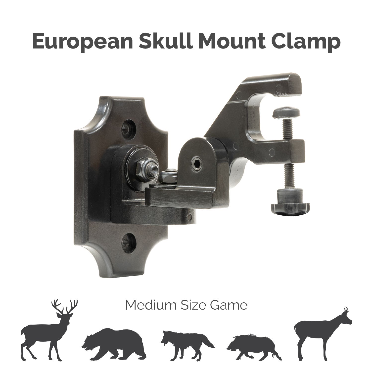 European Skull Mount Clamp - easy skull mount