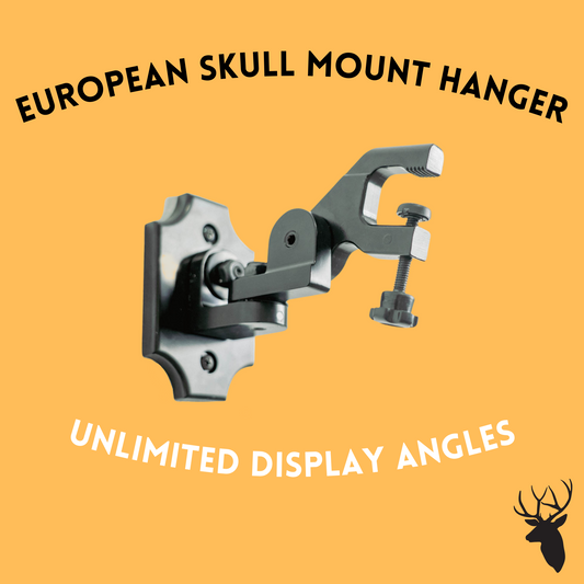 European Skull Mount Hanger