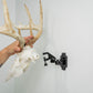 European Skull Mount Clamp - with deer skull